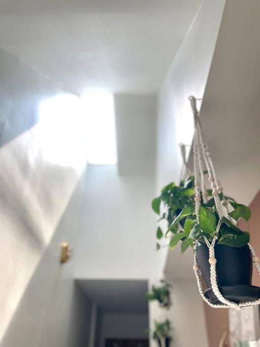 Geodis Park Apartment In Weho Νάσβιλ Εξωτερικό φωτογραφία